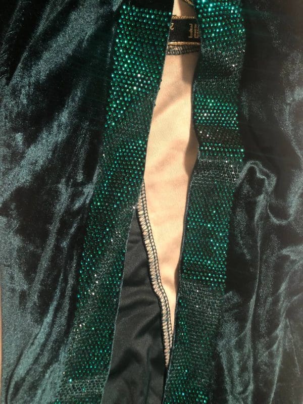 Jazzline Women 2 PCs Rhinestones Tiger Head Design Smooth Velvet Outfit Set Formal Wear Tracksuit With Hood Long Sleeve-Green (Sz 46) - Image 13