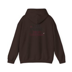 Low Energy High Standards Hoodie – Funny Quote Graphic Unisex Pullover Sweatshirt - Image 17