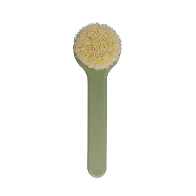 Dry Brush, 1-ct.