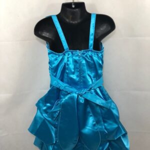Brand New Girl’s Formal Flower Girl Dress Blue - Image 4